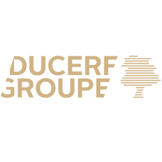 Logo | Ducerf Groupe