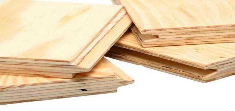 Ellioti Pine TG