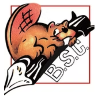 Logo | Bois et Scieries du Centre