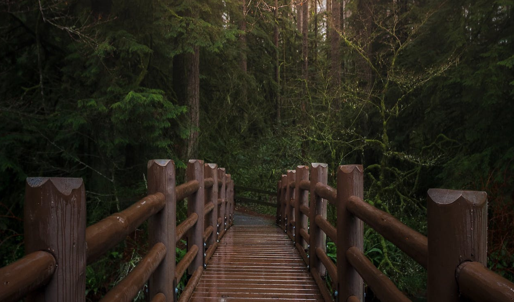 Un pont en bois ipé durable et résistant