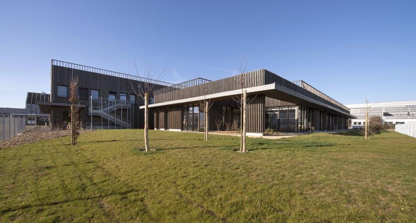 Image 7