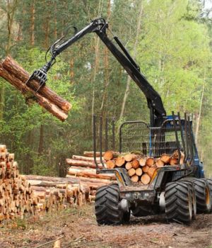 Machines forestières