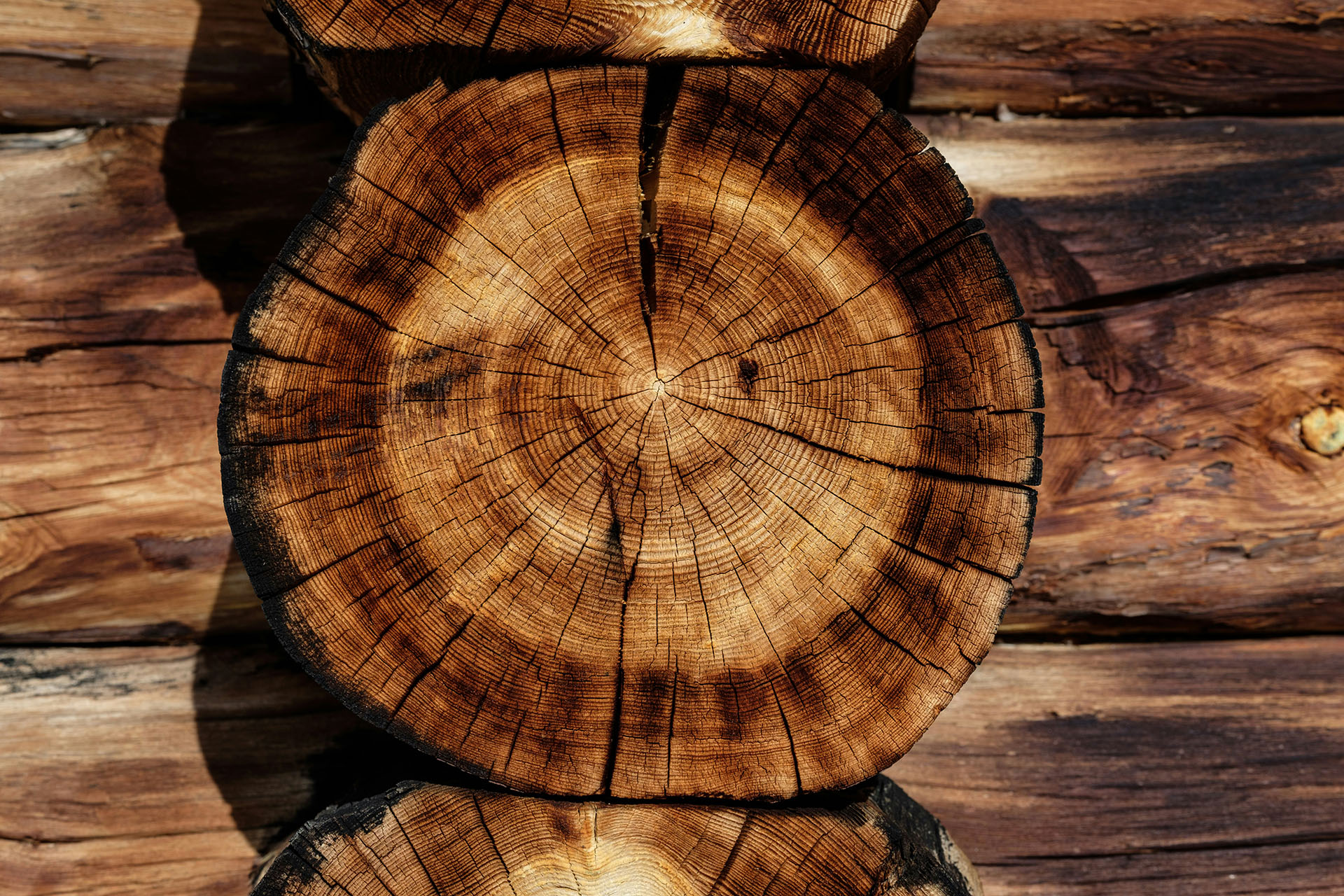 Le bois imputrescible a pour caractéristique principale d’être résistant à l’eau