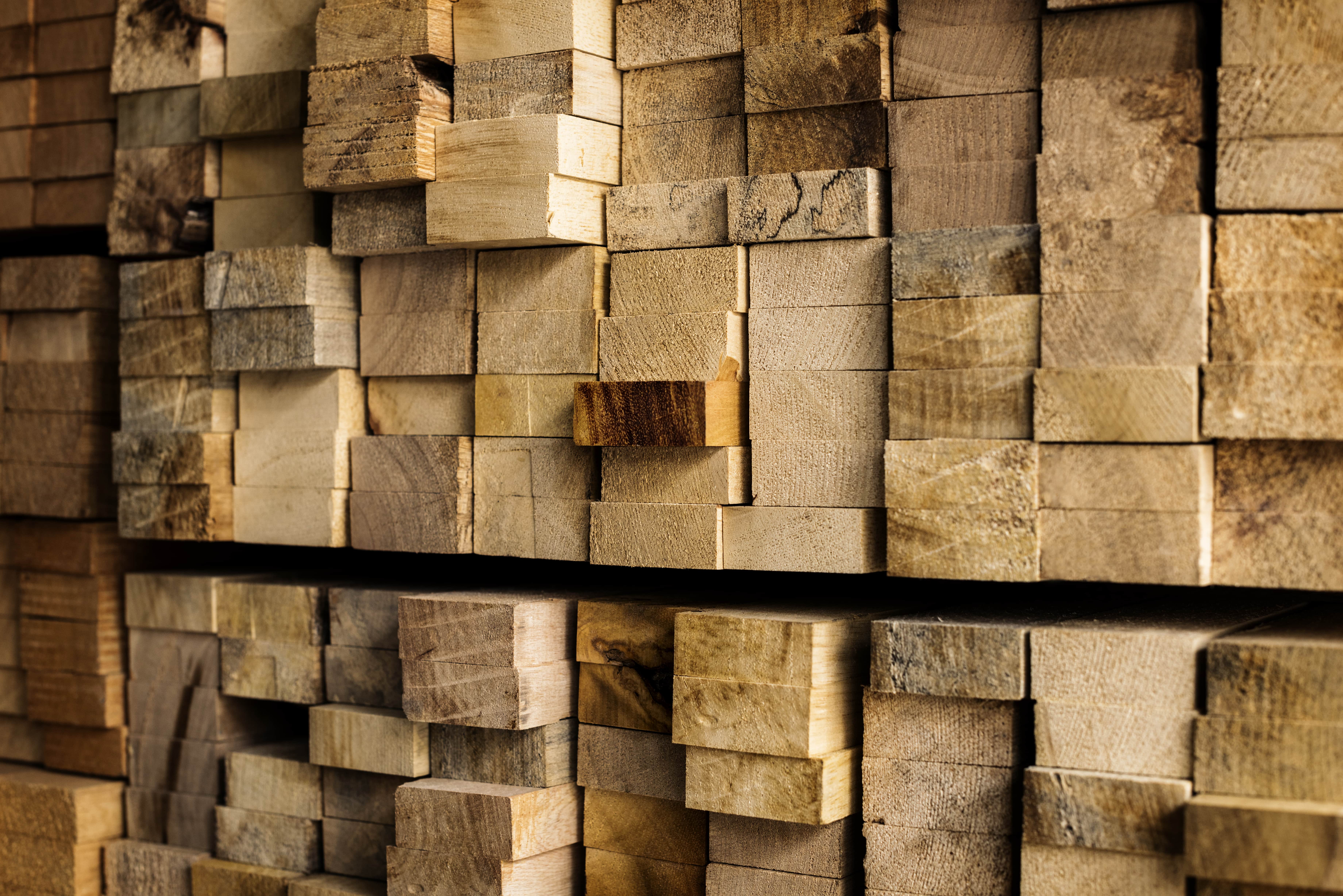 Le bois mélèze est connu pour sa résistance et sa densité