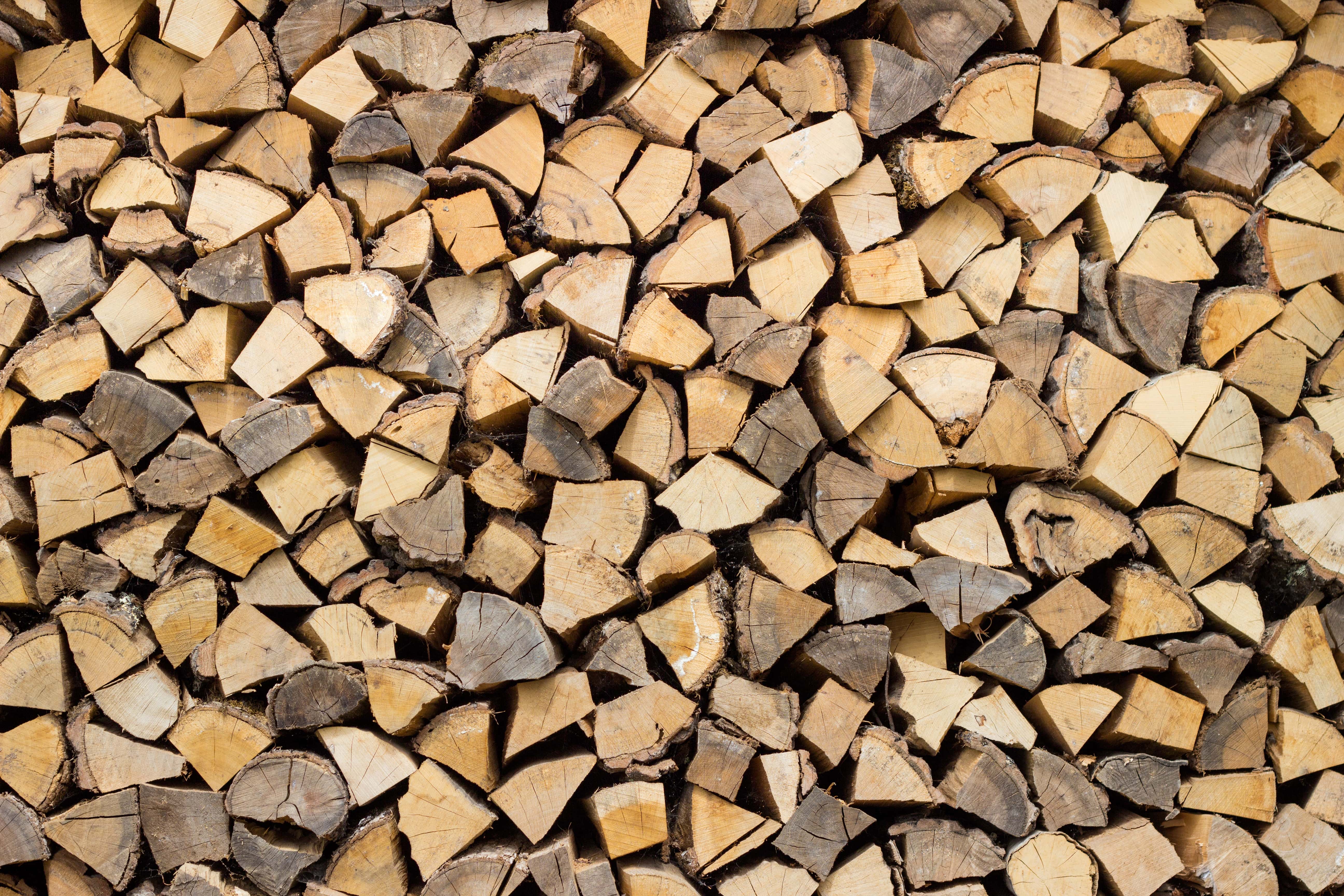 Le bouleau peut être utilisé comme bois de chauffage