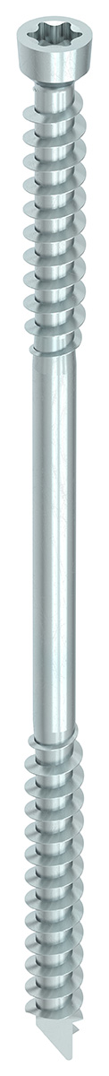 Vis charpente WT-T 6.5×65