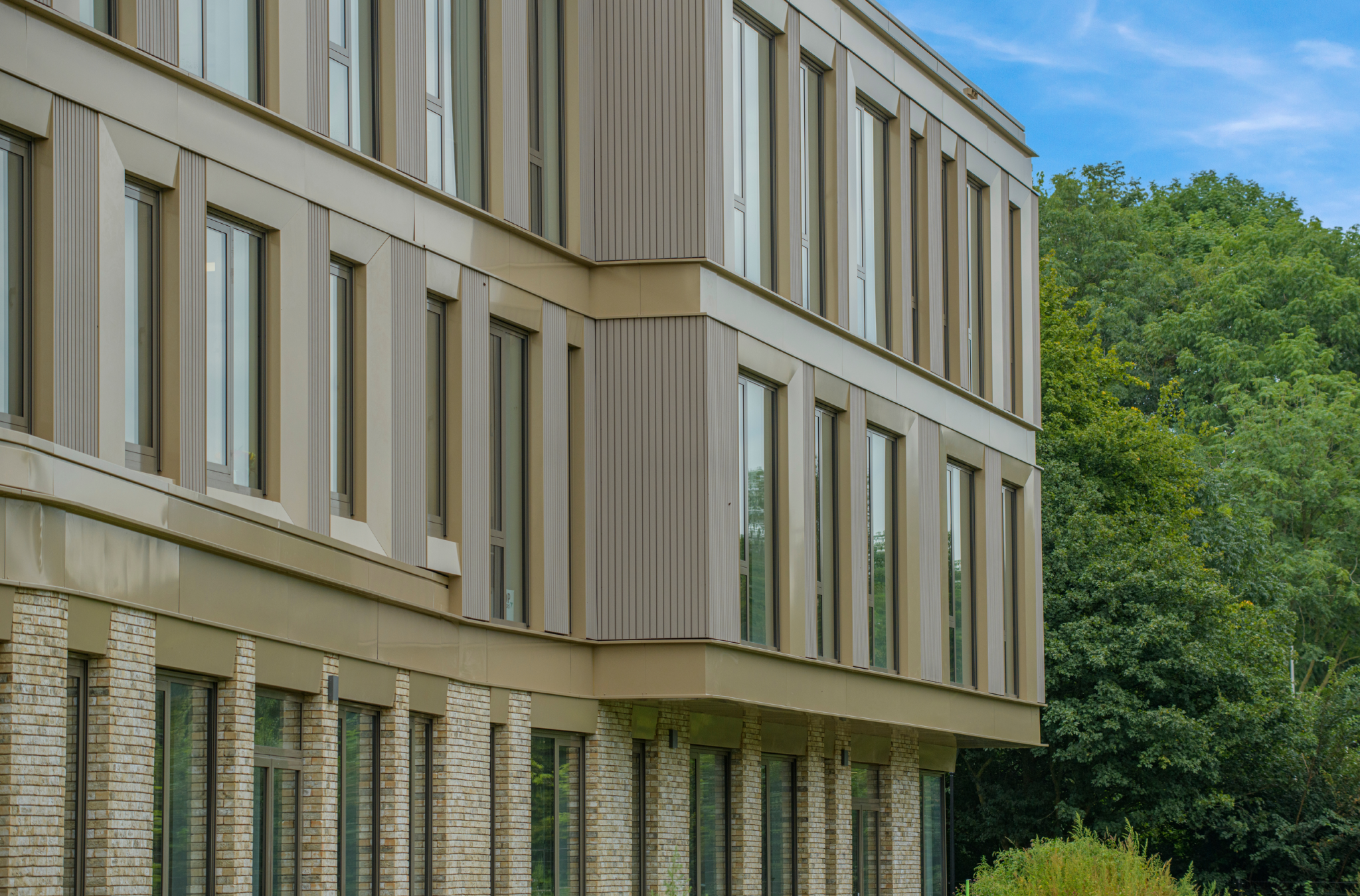 Lassus College