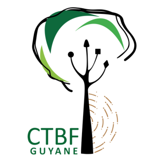 Logo | CTBF Guyane