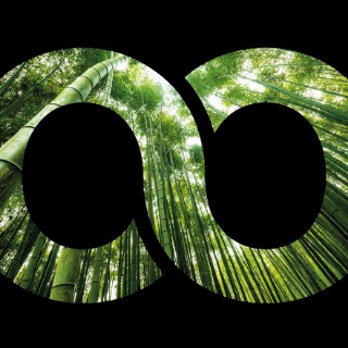 BambooTouch