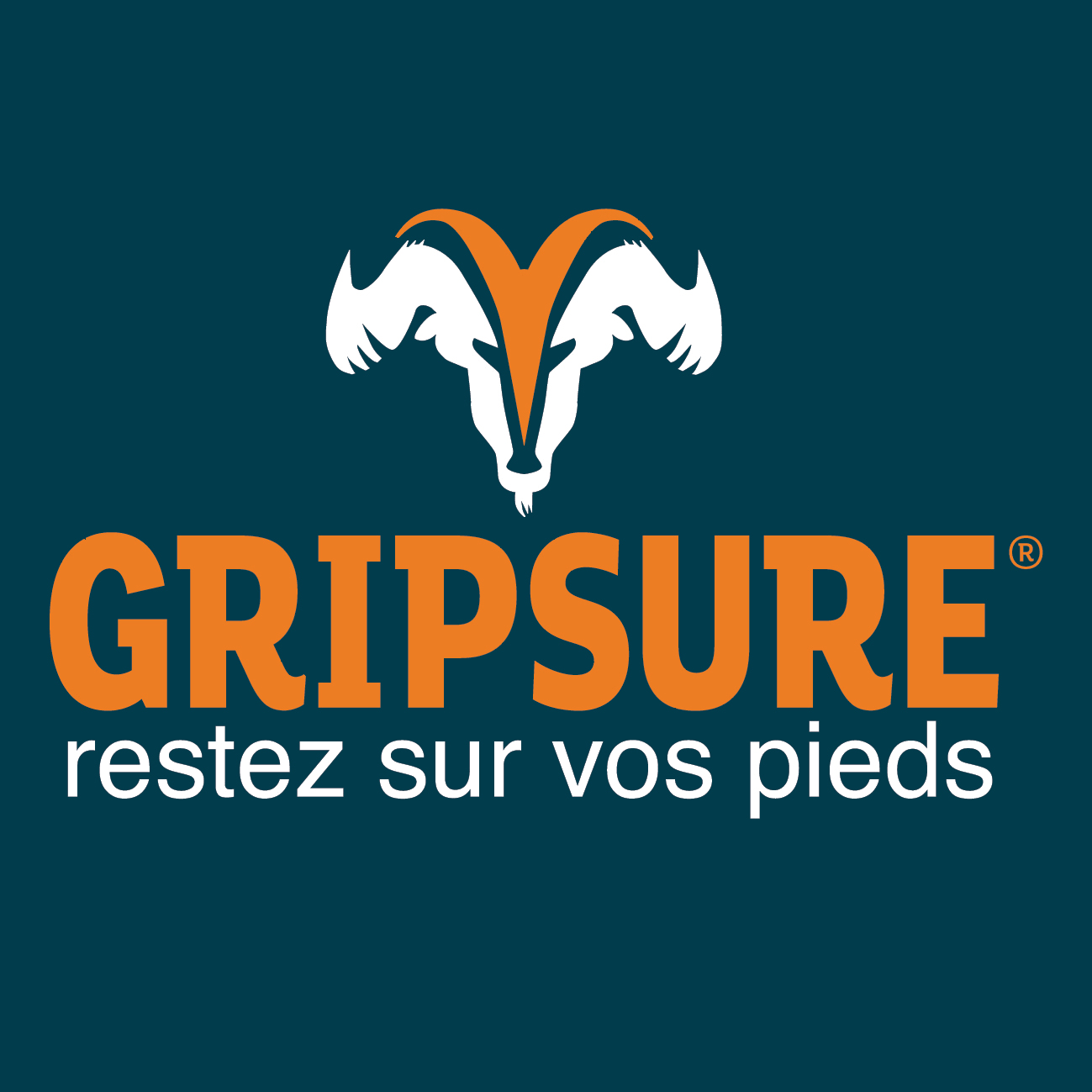 GRIPSURE 