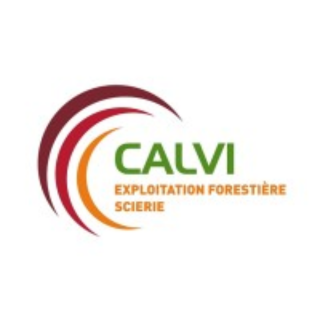 Logo | CALVI