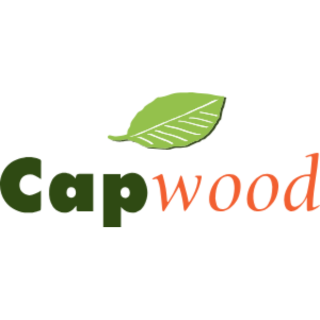Logo | Scierie Capibois