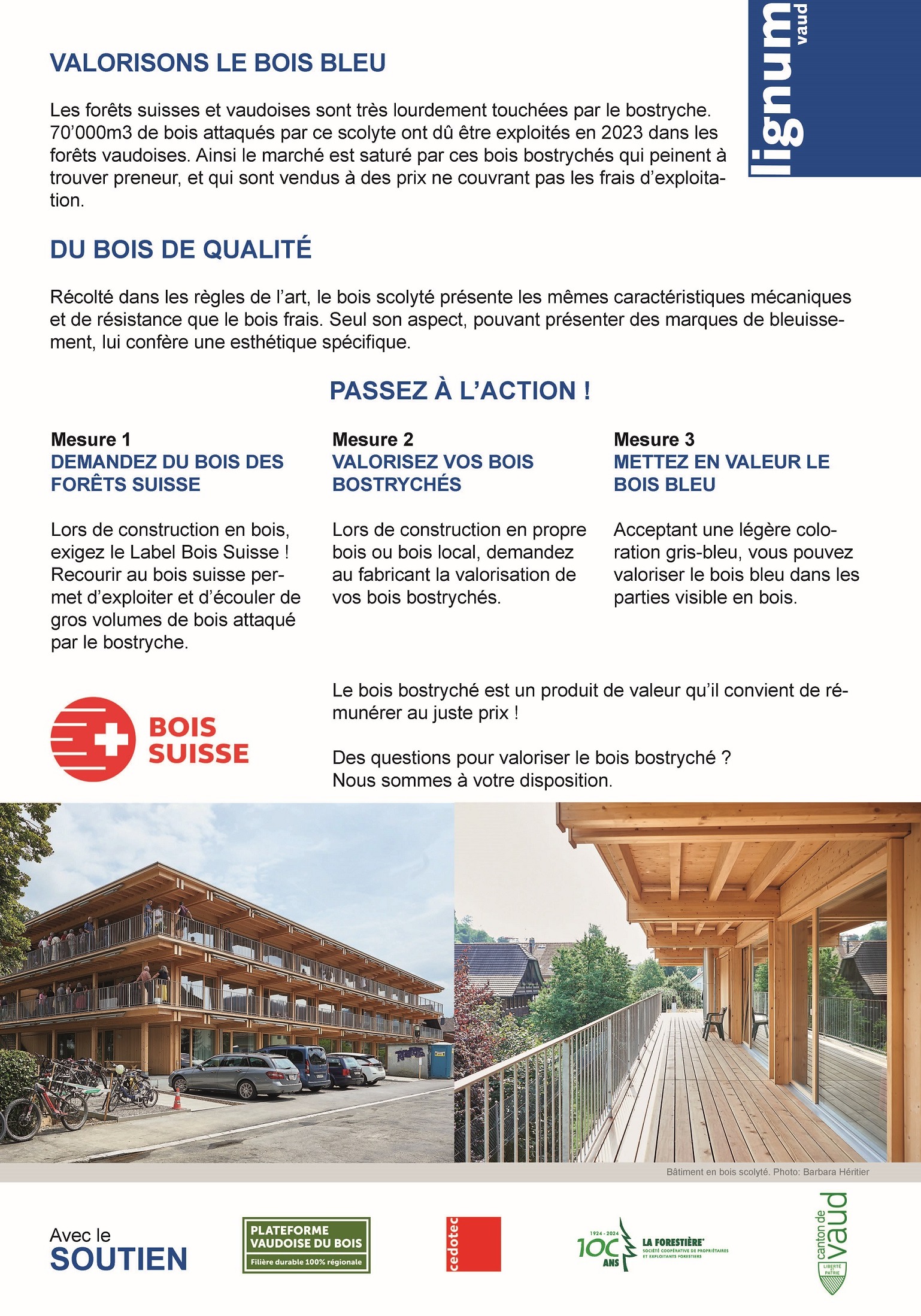 Plan bostryche Vaud